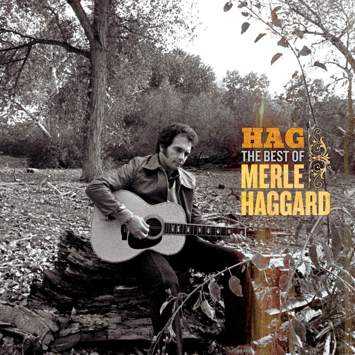 10 Hilarious Merle Haggard Album Covers - richtercollective.com